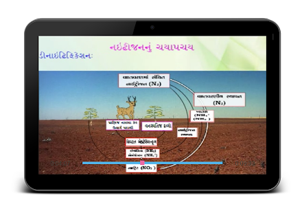 Animated Biology GSEB 12-2-3