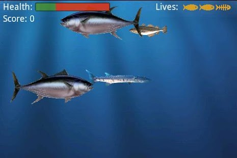 download Food Chain free