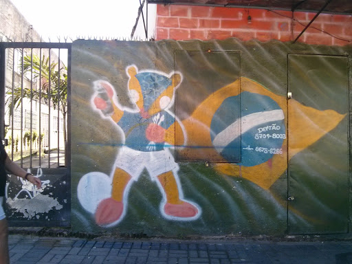 Grafite Fuleco Brasil