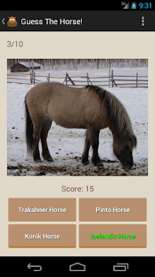 Guess The Horse! Screenshots 3