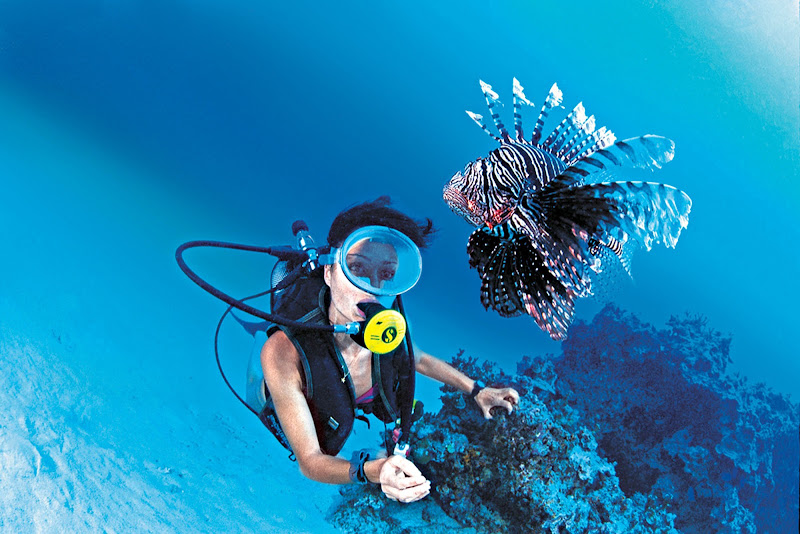 Encounter exotic marine life like a lionfish while scuba diving on a Paul Gauguin cruise.