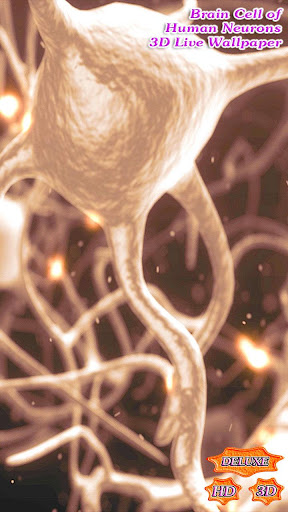 Brain Cell of Human Neurons 3D
