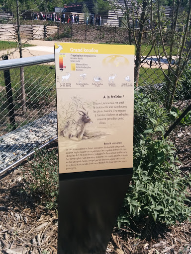 Zoo de Vincennes - Enclos des Koudous