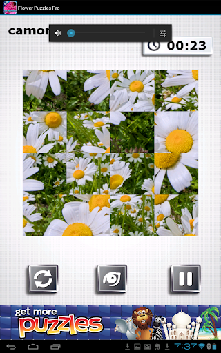 【免費解謎App】Flower Puzzles Pro-APP點子