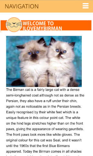 I Love My Birman