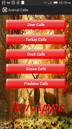 Animal Calls