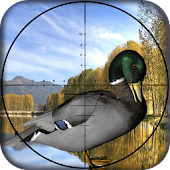 chasseur canard digital jouet