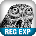 Regular Expression Pocket Ref
