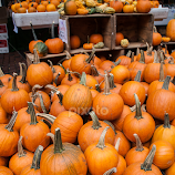 Pumpkins at a market. by Daniel Gorman -  