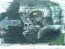 Mural Gorila Espalda Gris