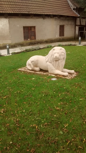 Lion De Gauche 