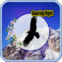 Soaring flight icon