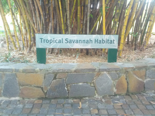 Tropical Savannah Habitat