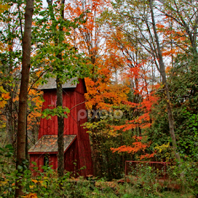 by Judee Schofield - Buildings & Architecture Public & Historical