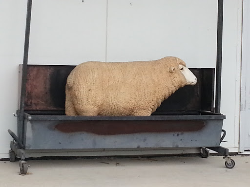 Lamb In A Spit