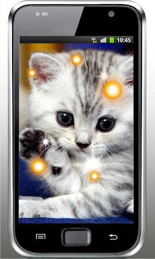 Kitty Game HD Live Wallpaper