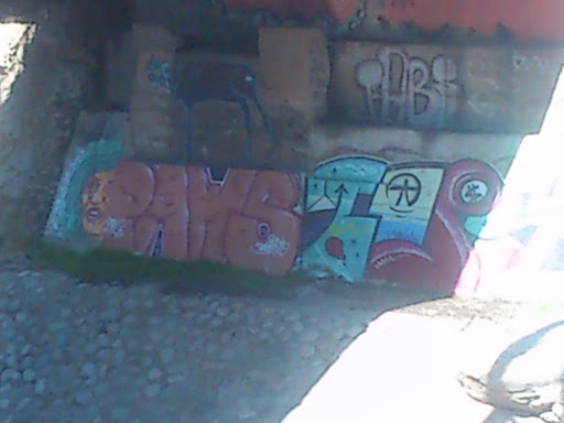 Paws Graffiti