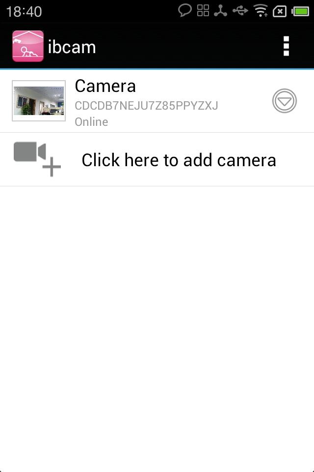 ibcam Screen 3