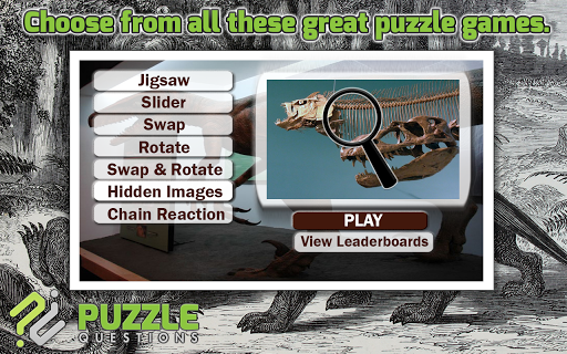 Dinosaur Puzzles