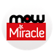 MOW2011 conference app