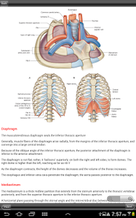 Download Gray's Back and Thorax APK for PC