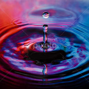 Drop by Pallab Kumar Ganai - Abstract Water Drops & Splashes