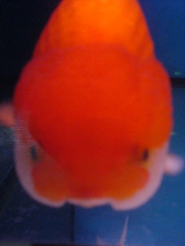DSC01629