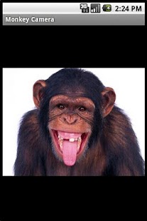 Free Download Monkey Camera APK