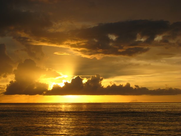 [IMG_0415.JPG]