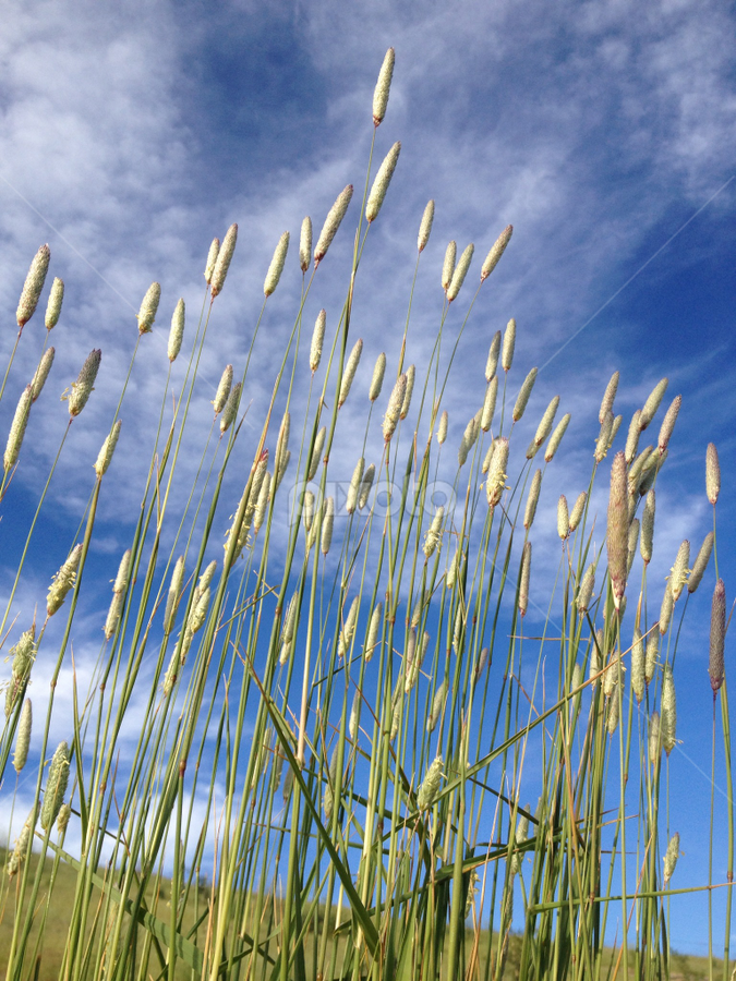 by Ben Liu - Landscapes Cloud Formations