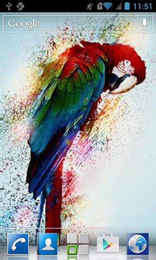 Multicolored parrot LWP