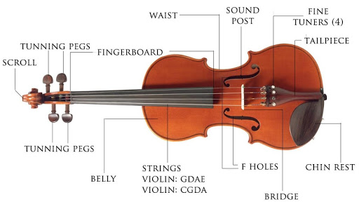 Learn Violin Basic