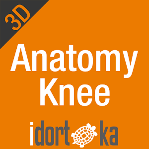 Anatomy Knee logo
