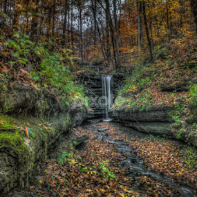 by Maurice FitzGerald - Landscapes Waterscapes