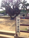 Nagatuki park