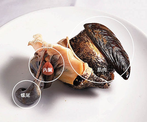 [clip_image004[4].jpg]