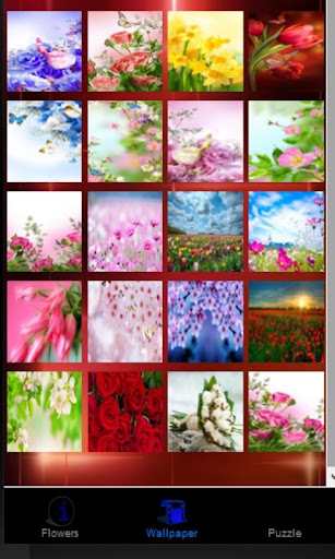Flowers Wallpaper 2015 Games
