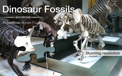 Dinosaur Fossil Jigsaws Demo poster 9