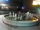 Horse Fountain