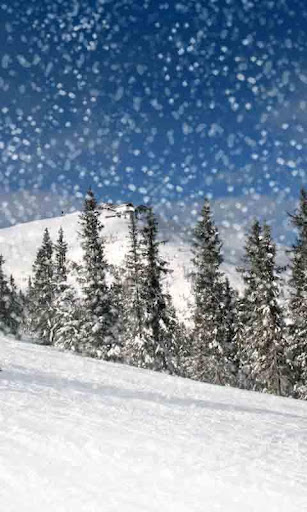 Skiing in Snow Live Wallpaper