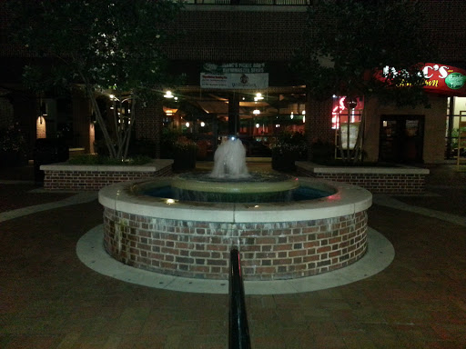 Fountain In Isaac's  Courtyard