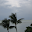 Environs Now Download on Windows