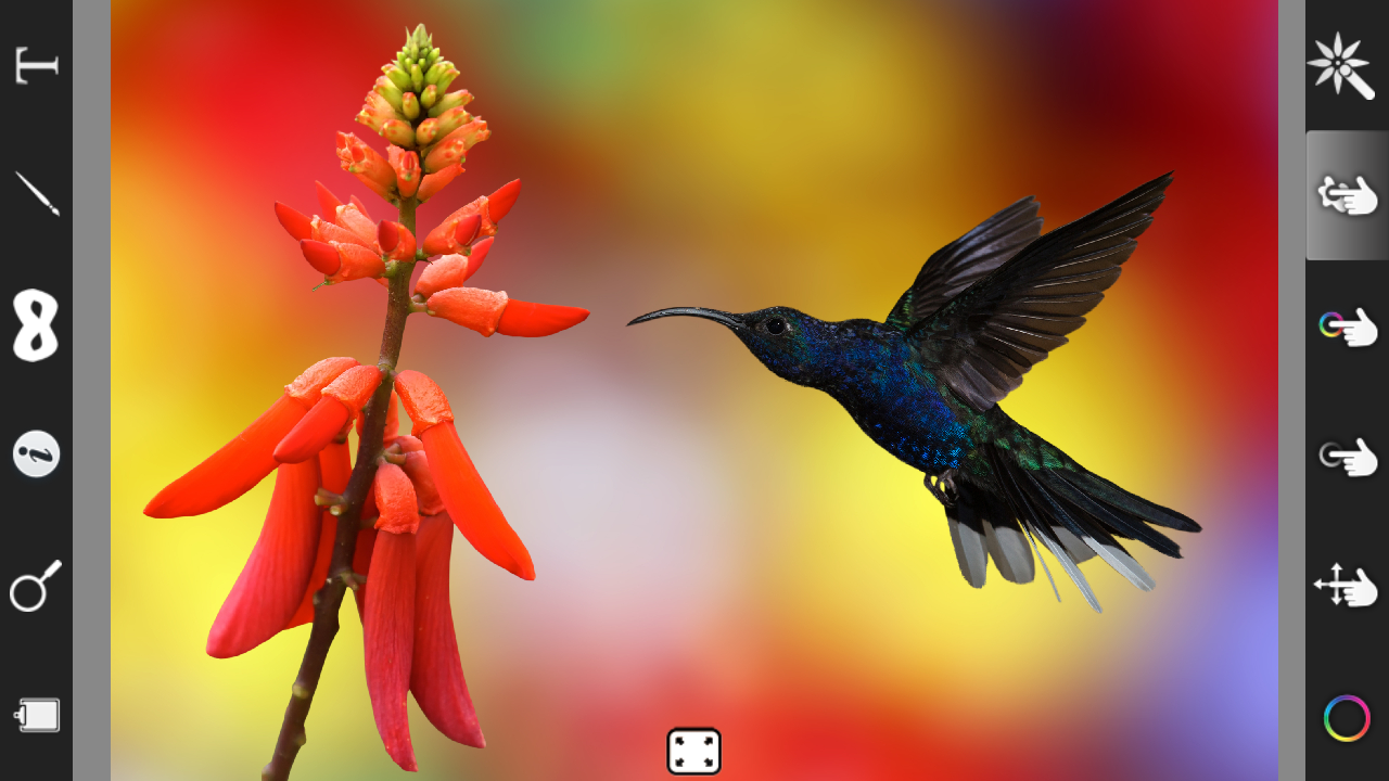 Color Effect Photo Editor Pro - screenshot