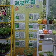 香草菲菲 芳香植物博物館