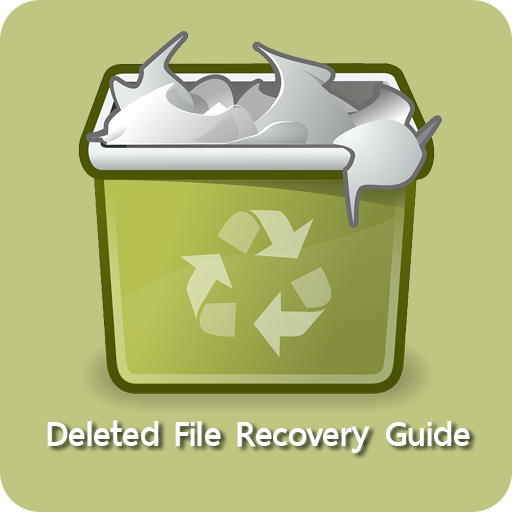 Deleted File Recovery Guide
