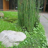 微熱山丘