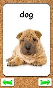 Free Kids Animals Flashcards APK for Android