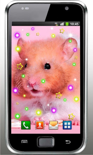 Hamster Pet live wallpaper