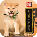 豆助～和風総本家 八、九、十代目豆助写真集 logo