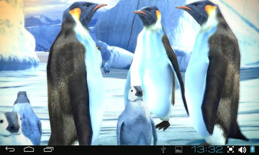 【免費個人化App】Penguins 3D Pro Live Wallpaper-APP點子